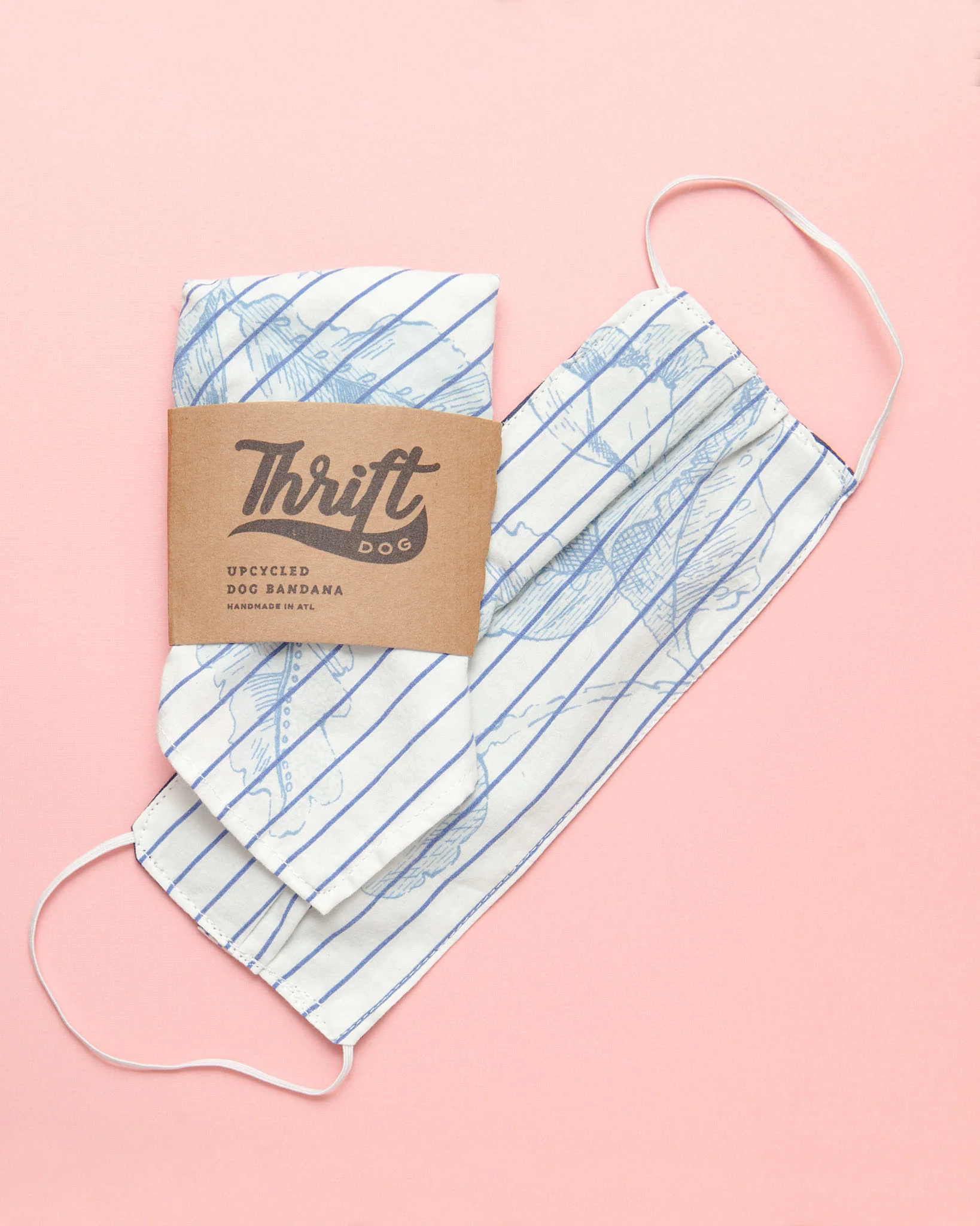 Matching Face Mask & Dog Bandana Set in Floral Stripe (Immediate Ship)