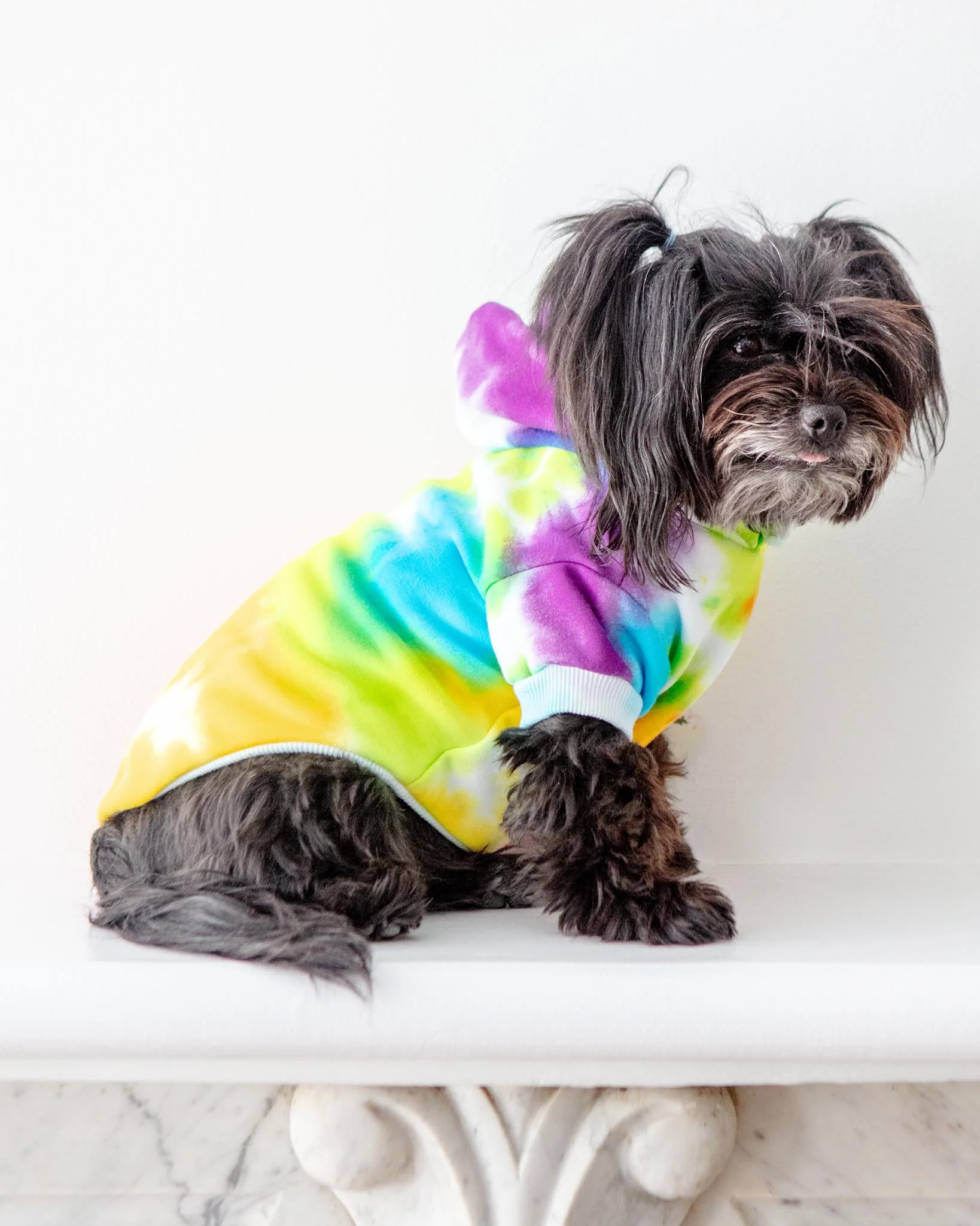 Tie Dye Dog Hoodie in Rainbow