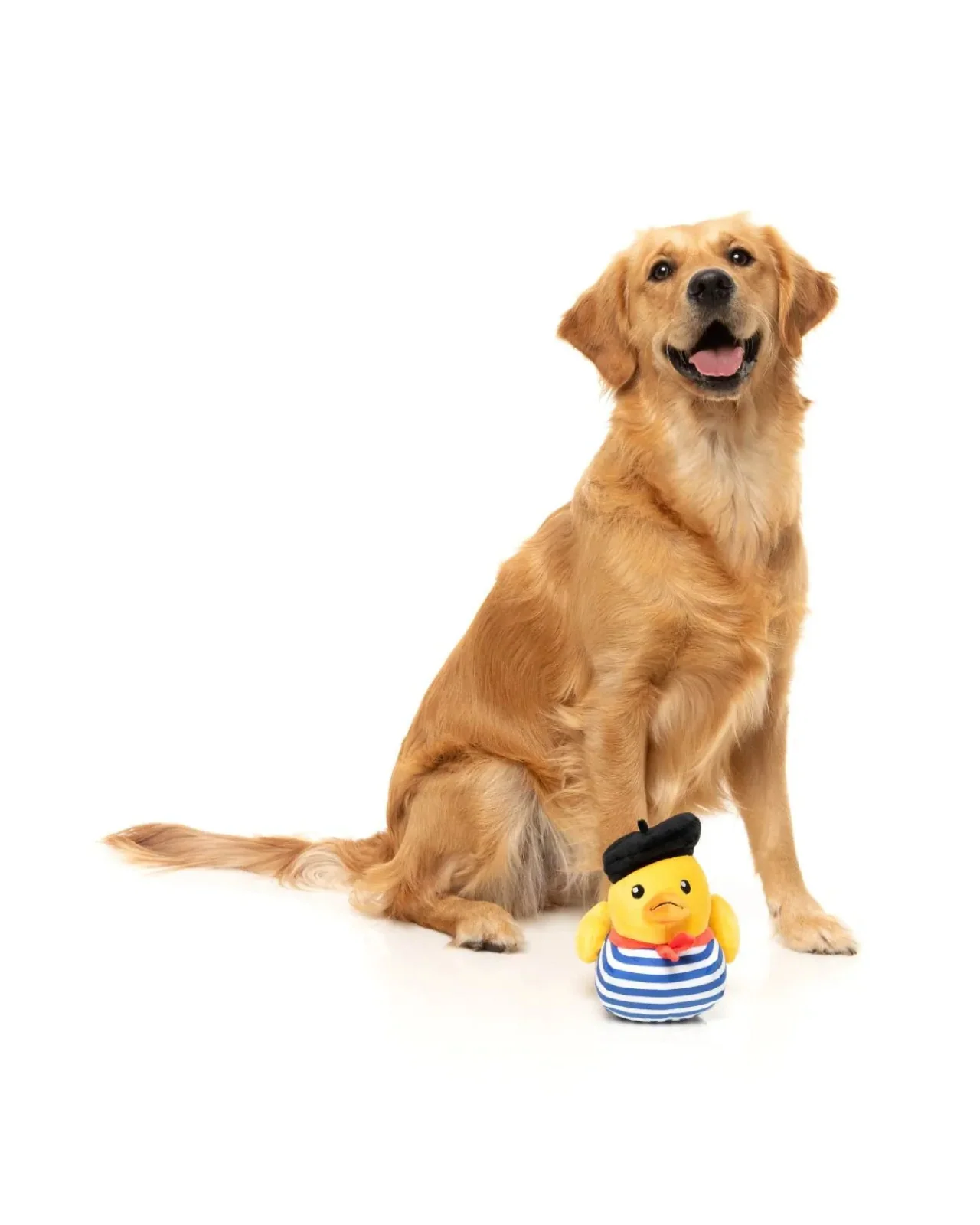 Timotheé Chalaquack Squeaky Plush Dog Toy - Image 4