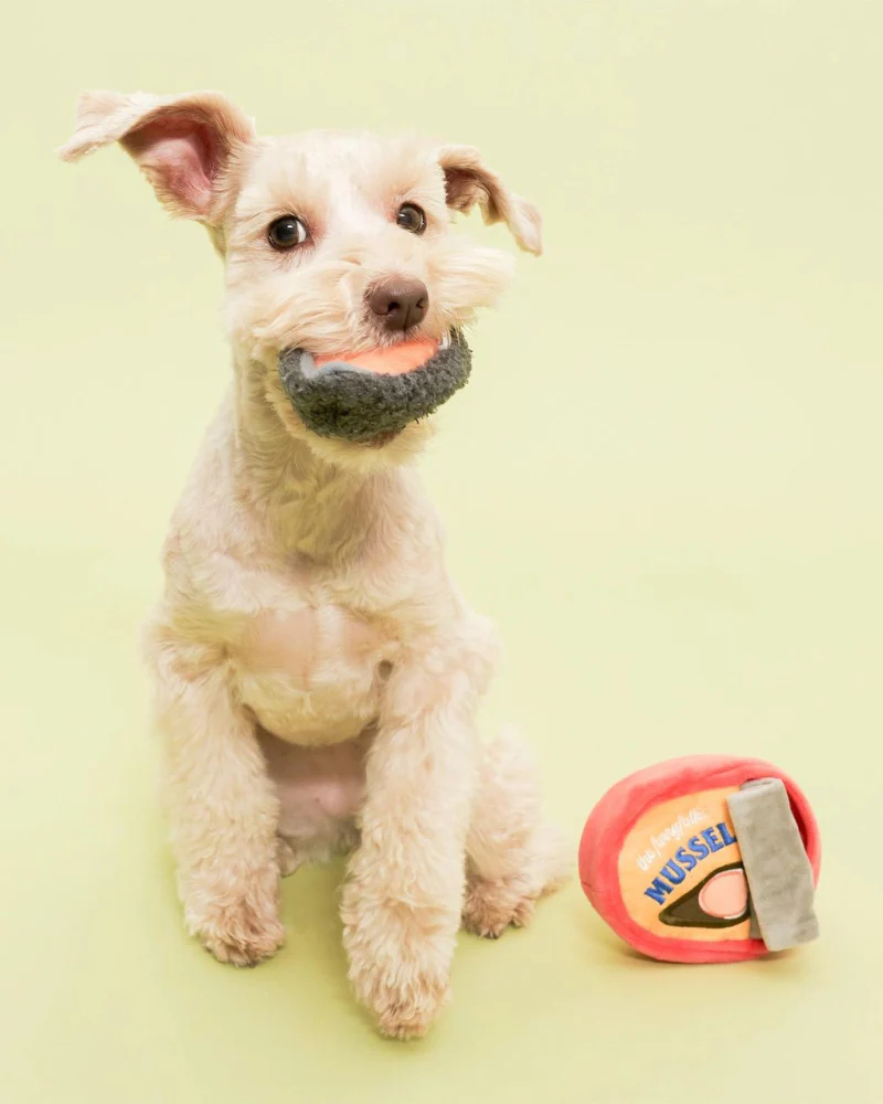 Tinned Mussel Nosework Dog - Image 6