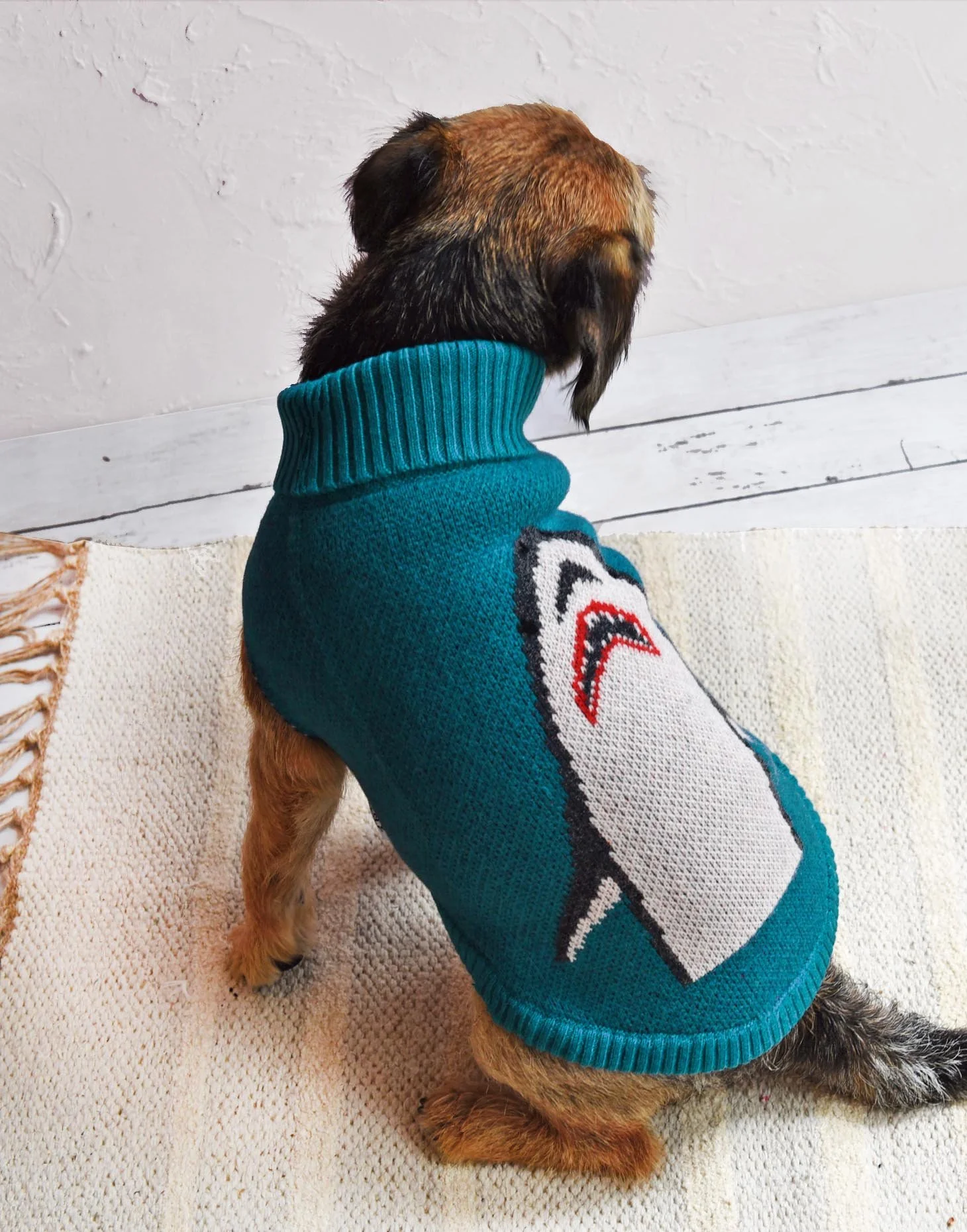 TINY WOLF | Shark Attack Sweater - Image 2