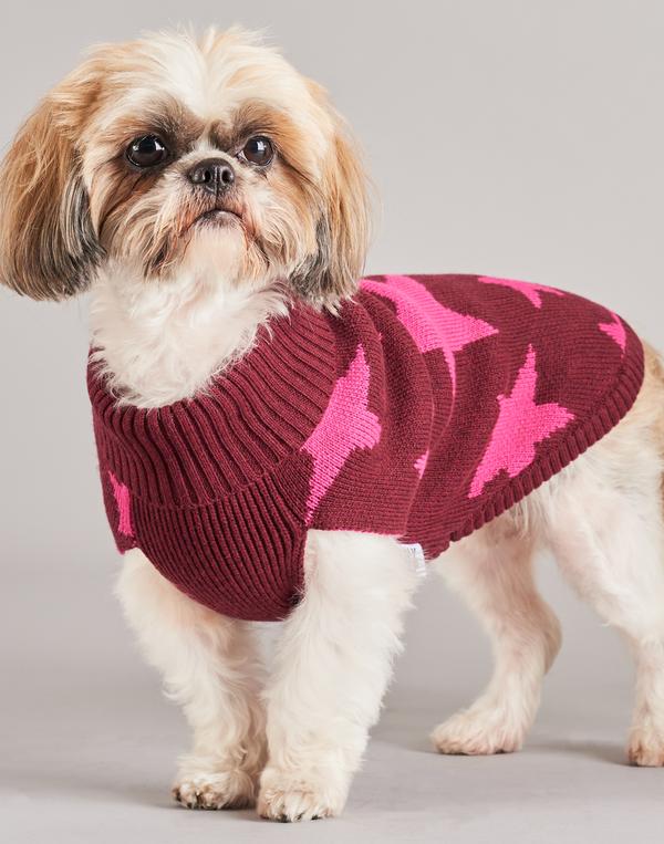 TINY WOLF | Superstar Dog Sweater