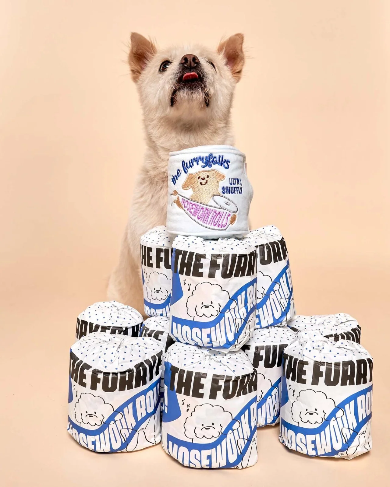 Toilet Paper Nosework Dog Toy - Image 12