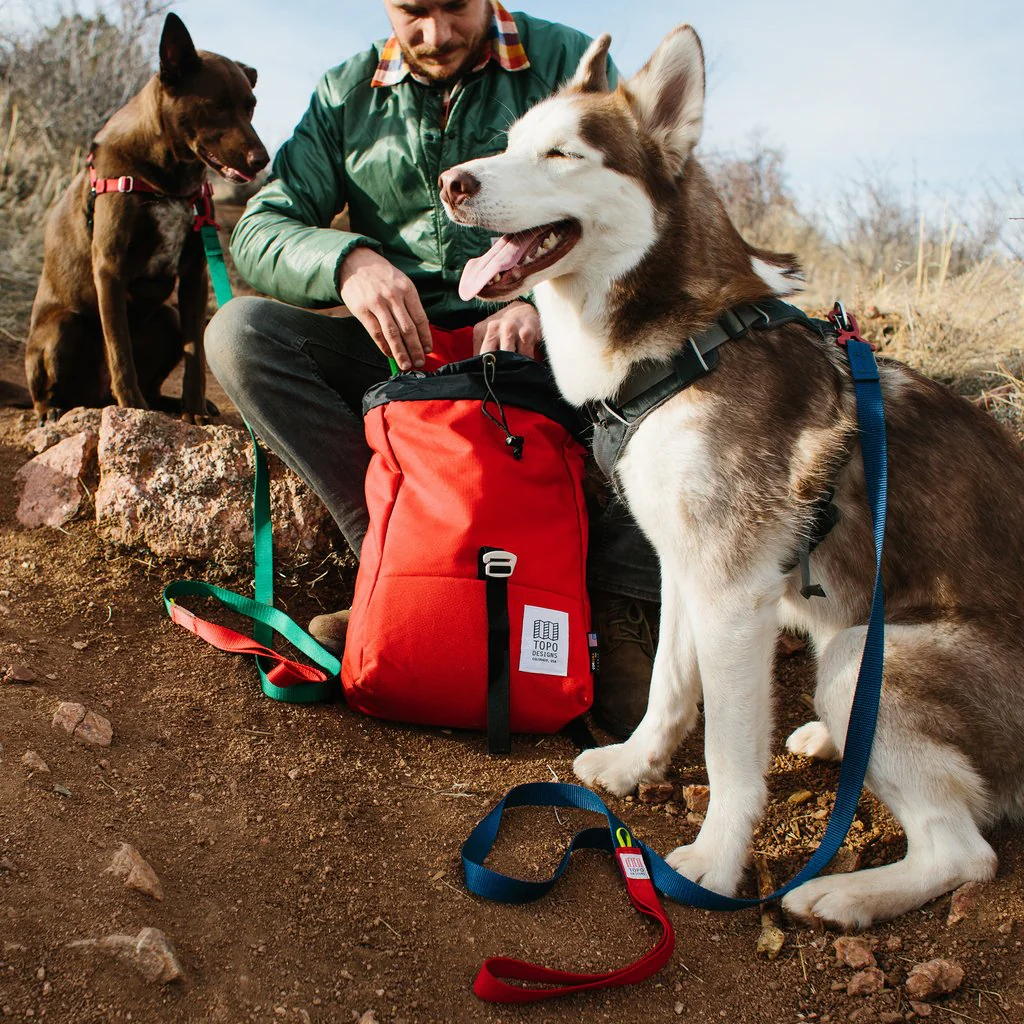 TOPO DESIGNS | Dog Leash in Black - Image 4