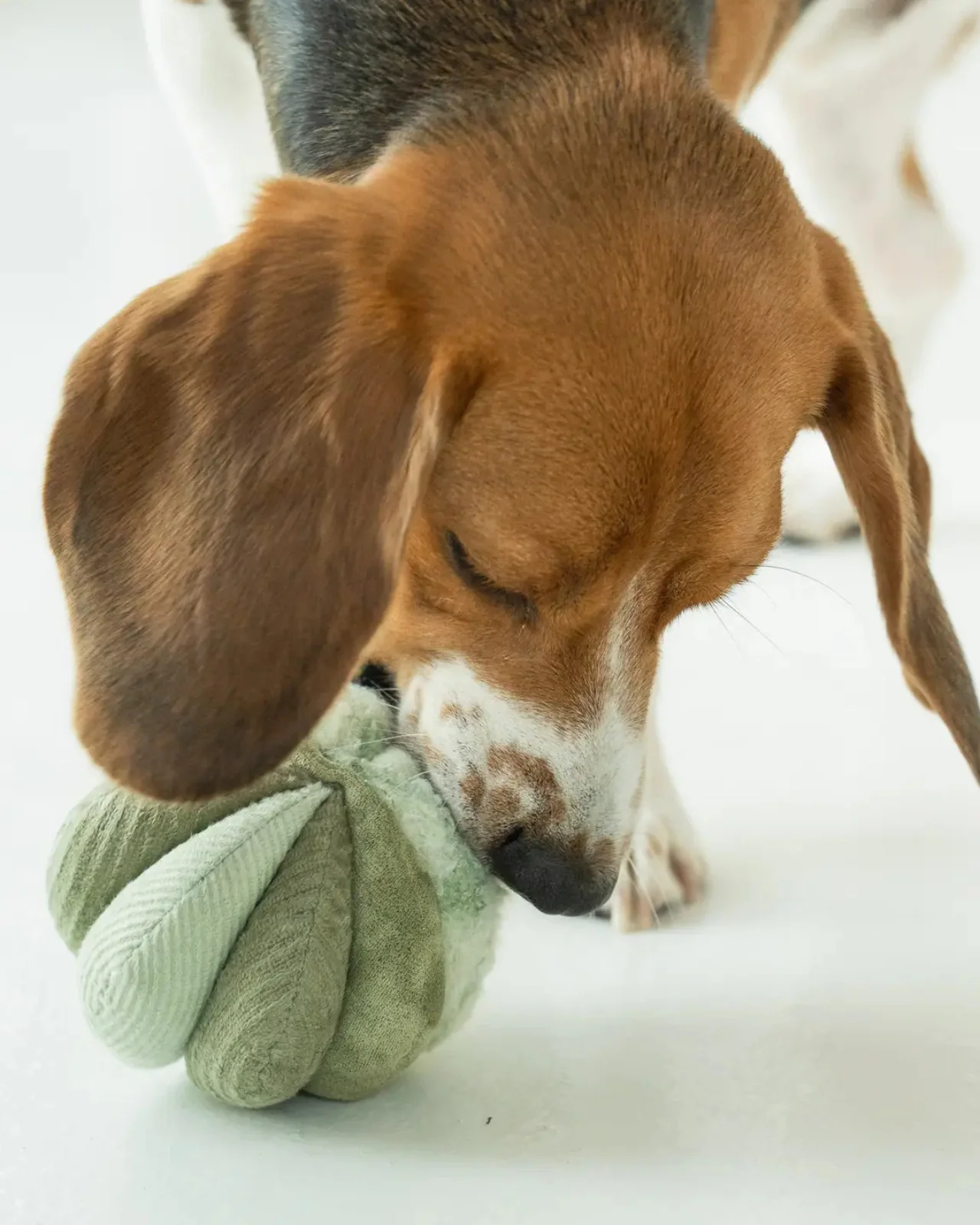 Toto Silent Interactive Snuffle Ball - Image 2