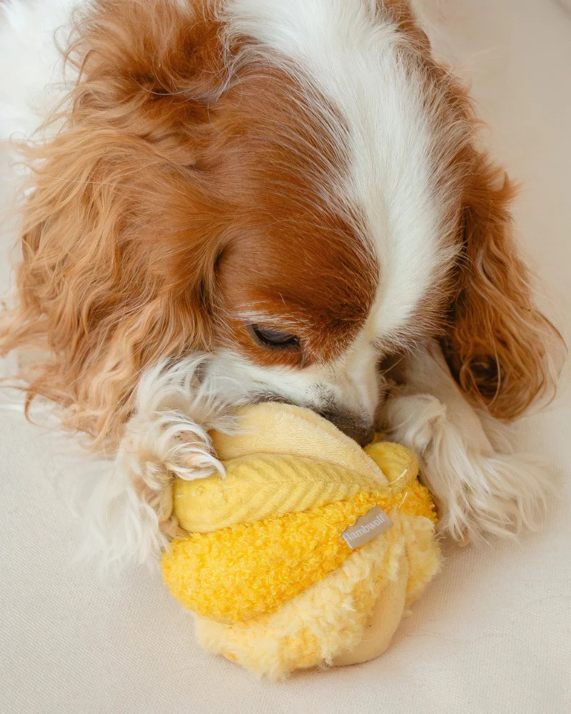Toto Silent Interactive Snuffle Ball - Image 3