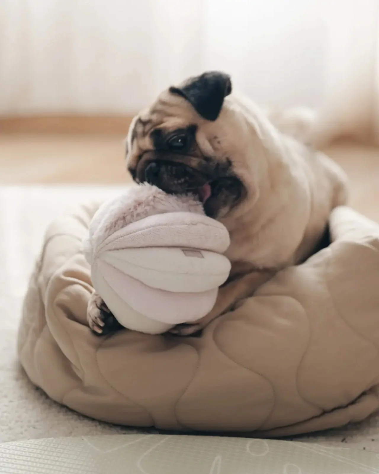 Toto Squeaky Interactive Snuffle Ball - Image 3