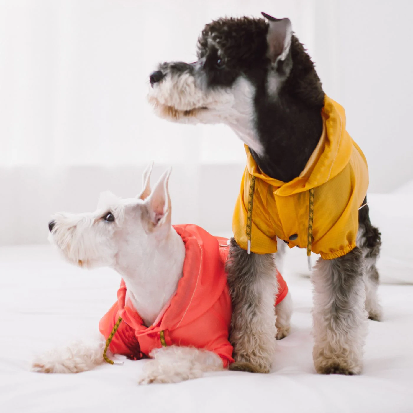 Lightweight Rain-Breaker in Salmon << FINAL SALE >> - Image 5