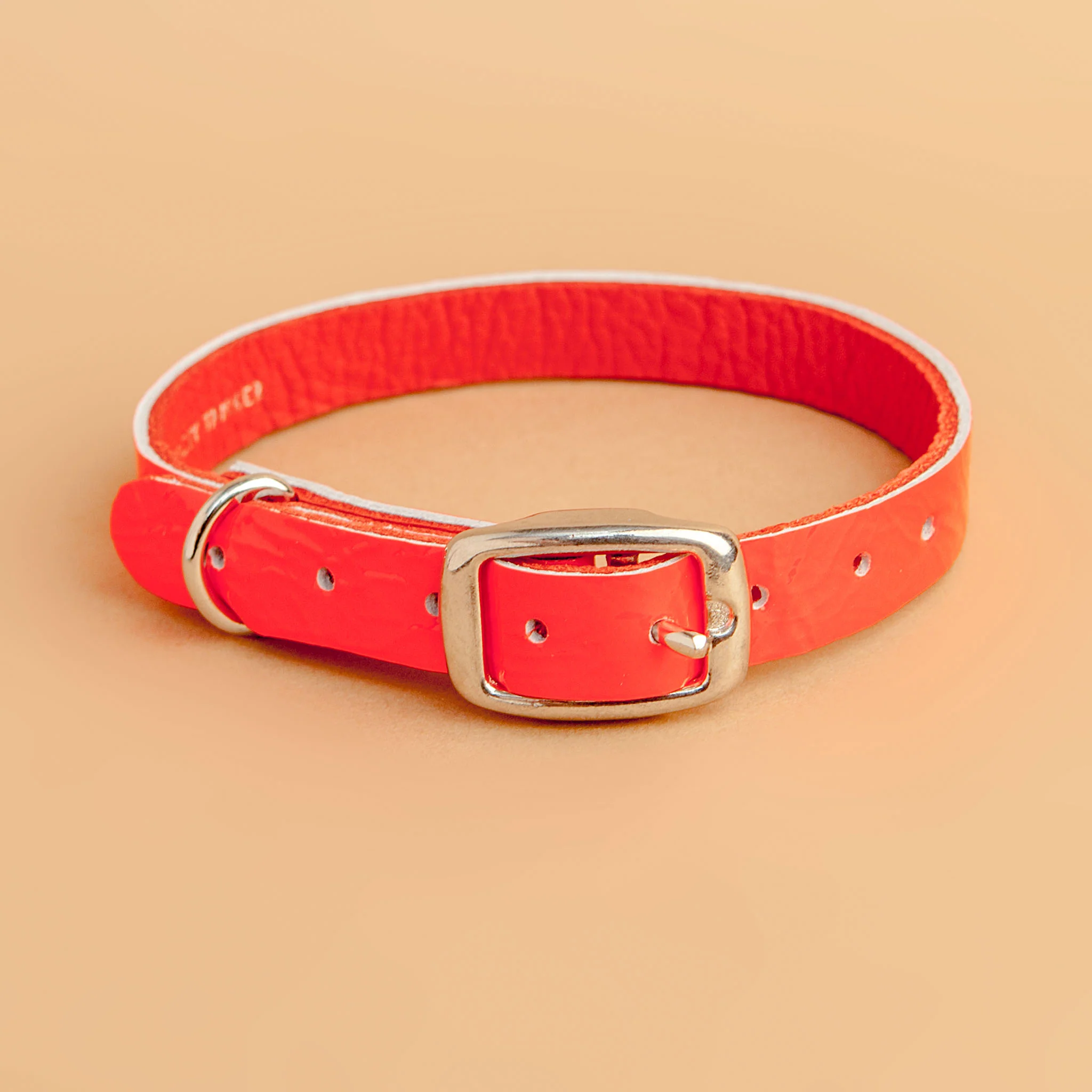 The Cleo Leather Tag Collar in Fluoro Red (Dog & Co. Exclusive) (FINAL SALE) - Image 3