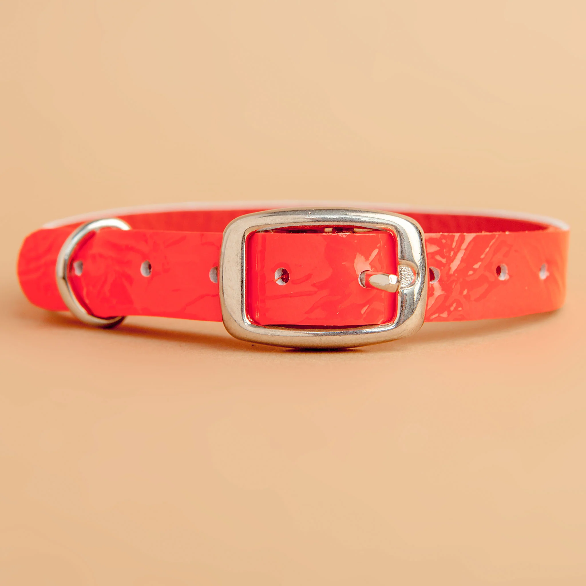The Cleo Leather Tag Collar in Fluoro Red (Dog & Co. Exclusive) (FINAL SALE) - Image 4
