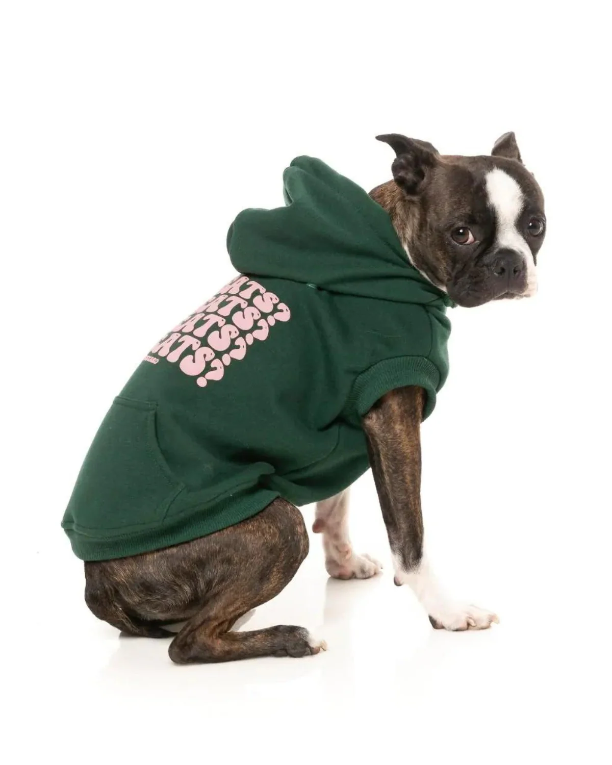 TREATS TREATS TREATS Dog Hoodie in Green (FINAL SALE) - Image 7