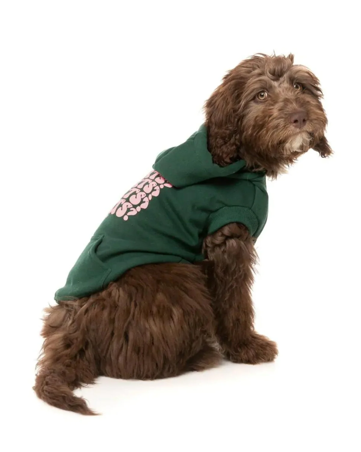 TREATS TREATS TREATS Dog Hoodie in Green (FINAL SALE) - Image 9