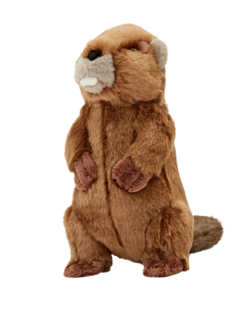 Troy the Beaver Plush Squeaky Dog Toy - Image 3