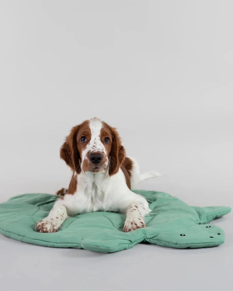 Turtle Dog Enrichment Playmat (37" x 24") - Image 6