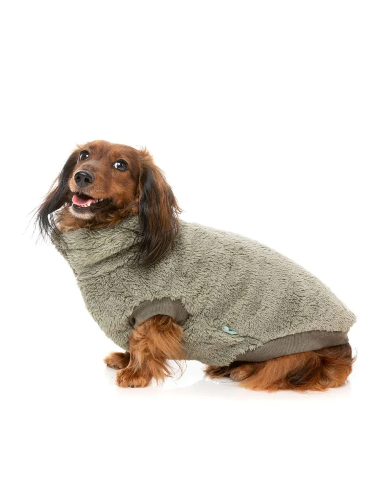 Turtle Teddy Dog Fleece in Rosemary (FINAL SALE) - Image 5