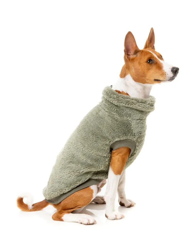 Turtle Teddy Dog Fleece in Rosemary (FINAL SALE) - Image 6