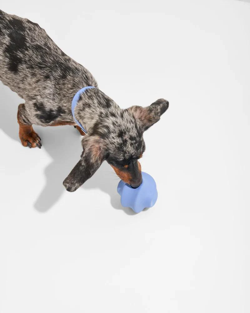 Twist Toss Dog Toy in Moonstone - Image 3