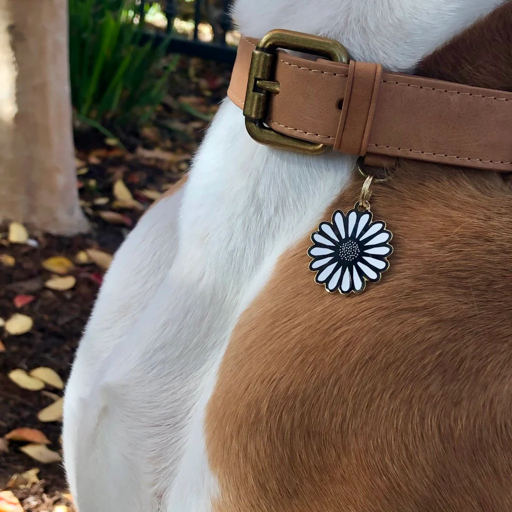 Daisy ID Tag (Custom) - Image 3