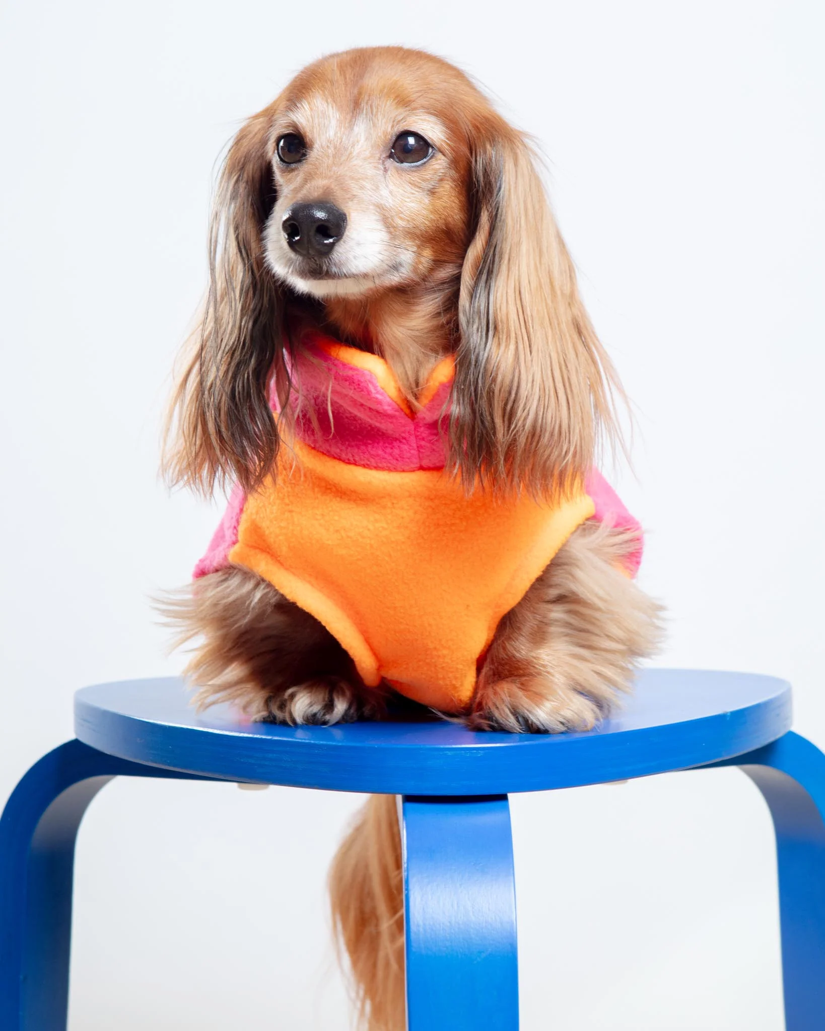 Two-Tone Dog Fleece Jumper (Made in the UK) - Image 4