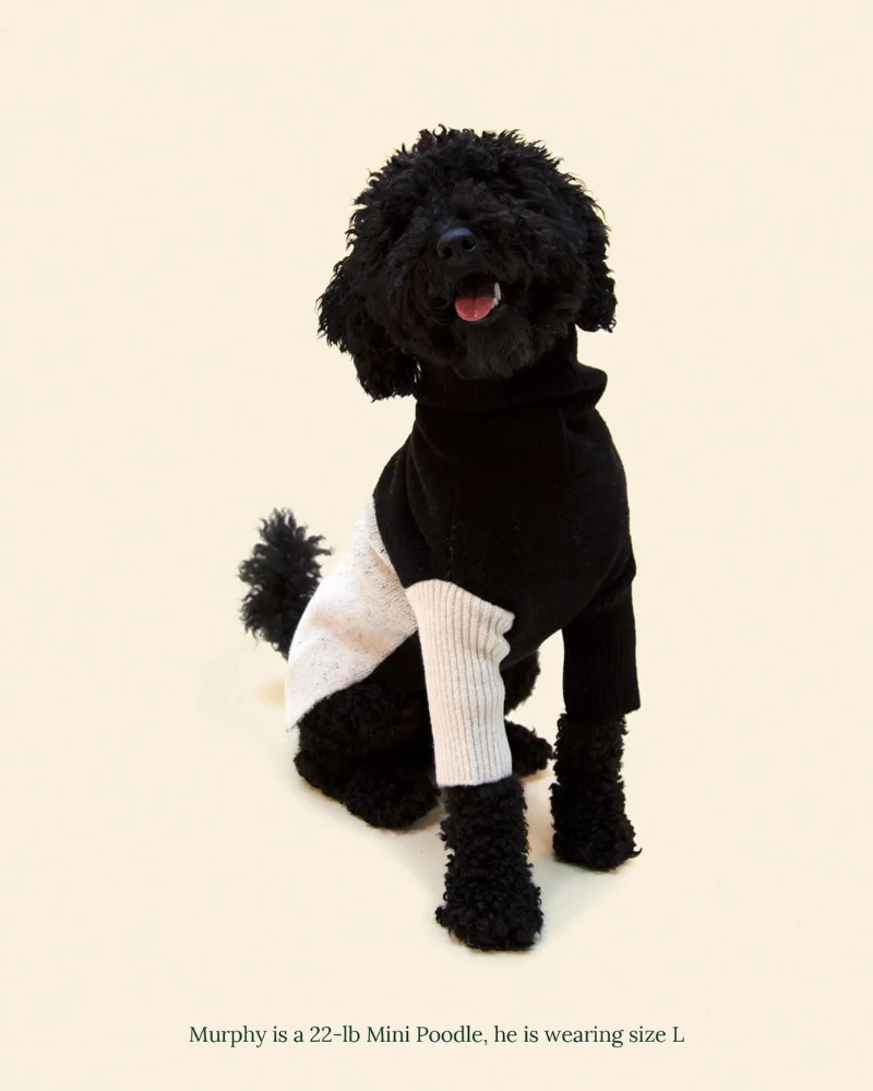 U + Me Dog Sweater (FINAL SALE) - Image 3