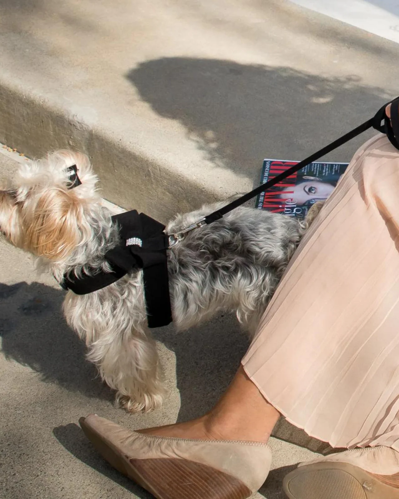 Ultrasuede Small Dog Leash in Black or Lavender (Made in the USA) - Image 3