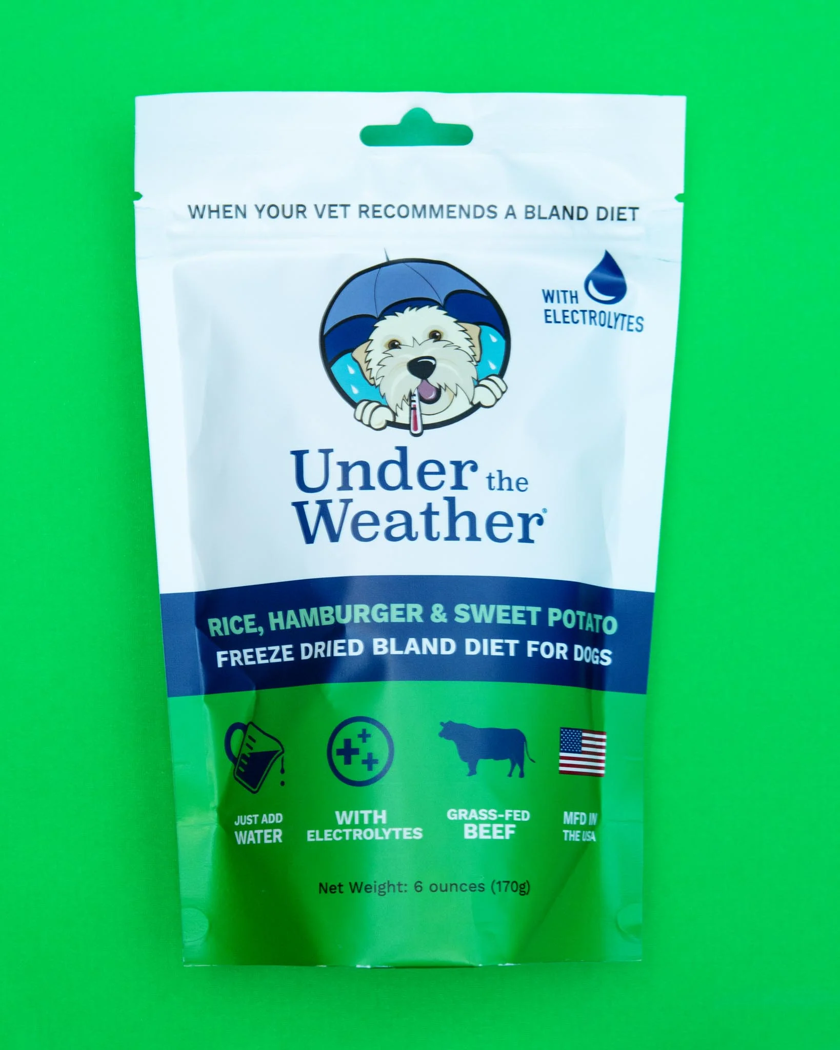 Under the Weather Bland Diet Dog Meal
