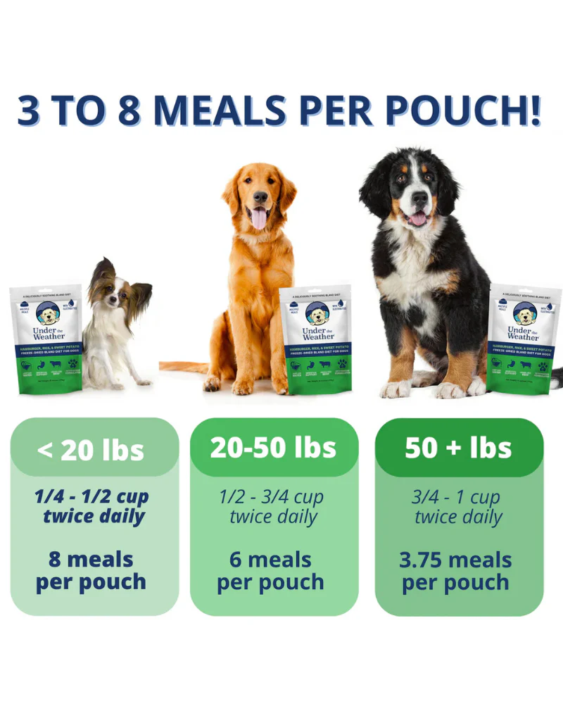 Under the Weather Bland Diet Dog Meal - Image 5