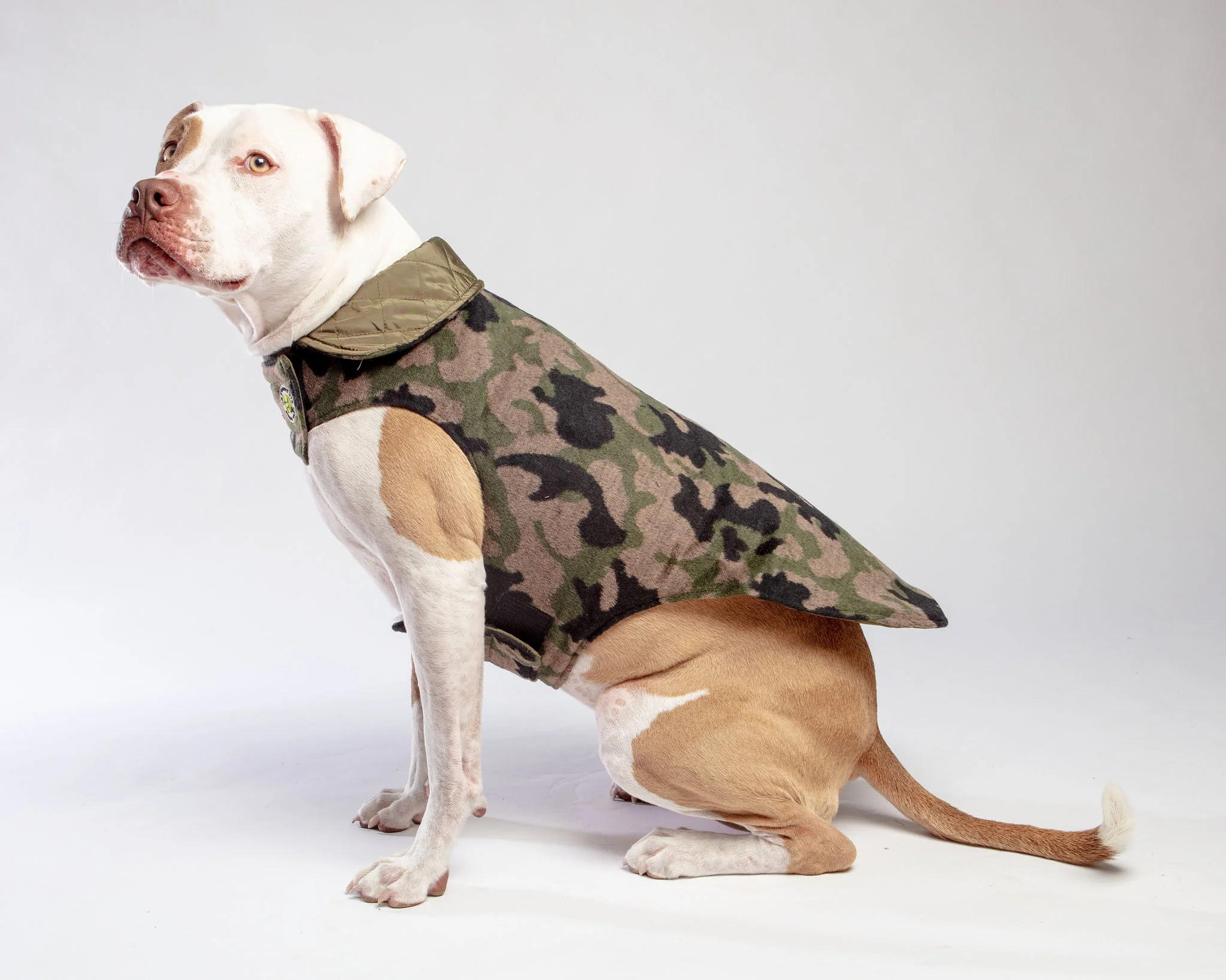 Reversible Camo Quilted Dog Coat << FINAL SALE >> - Image 5