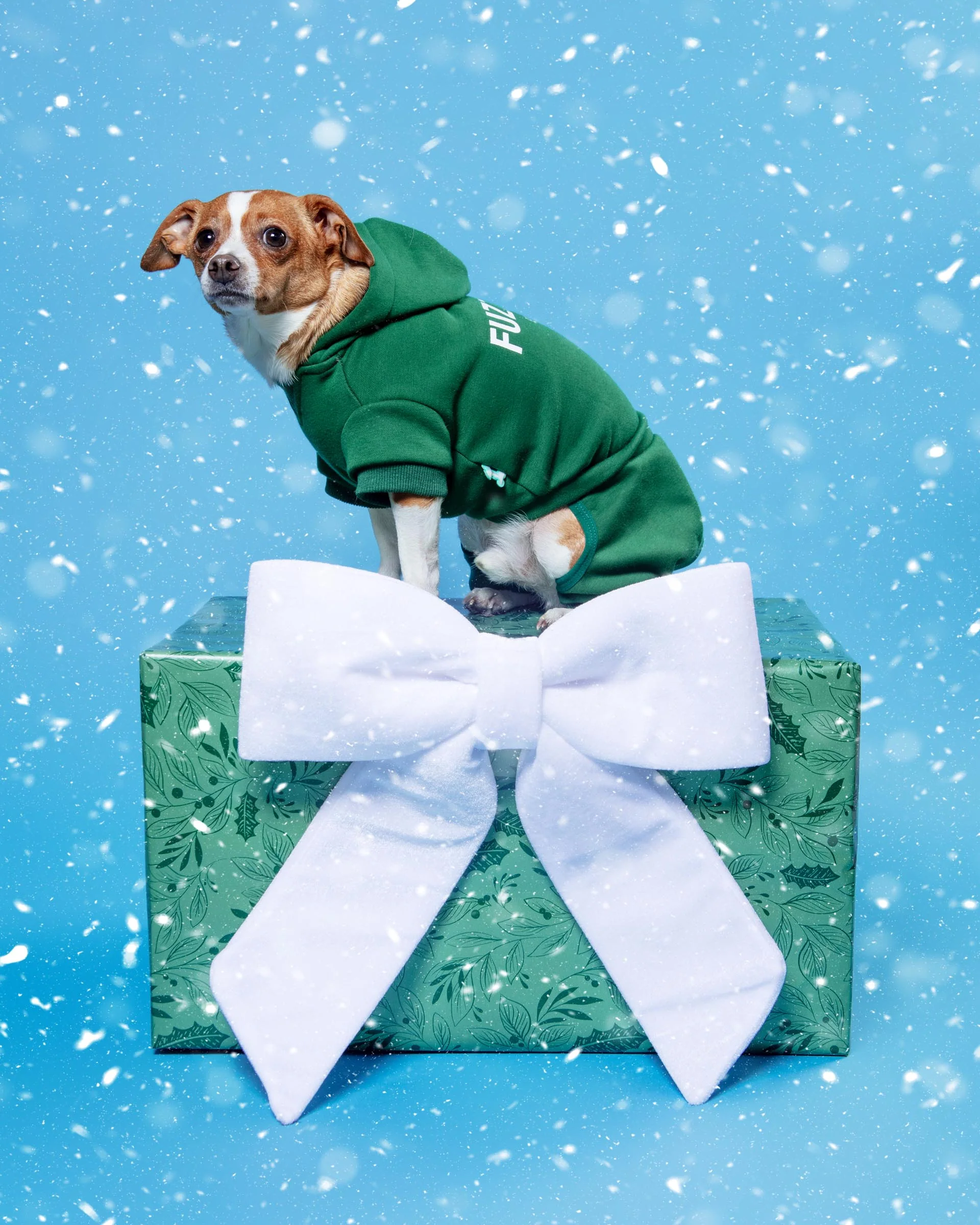 Urban Dog Tracksuit in Green (FINAL SALE)