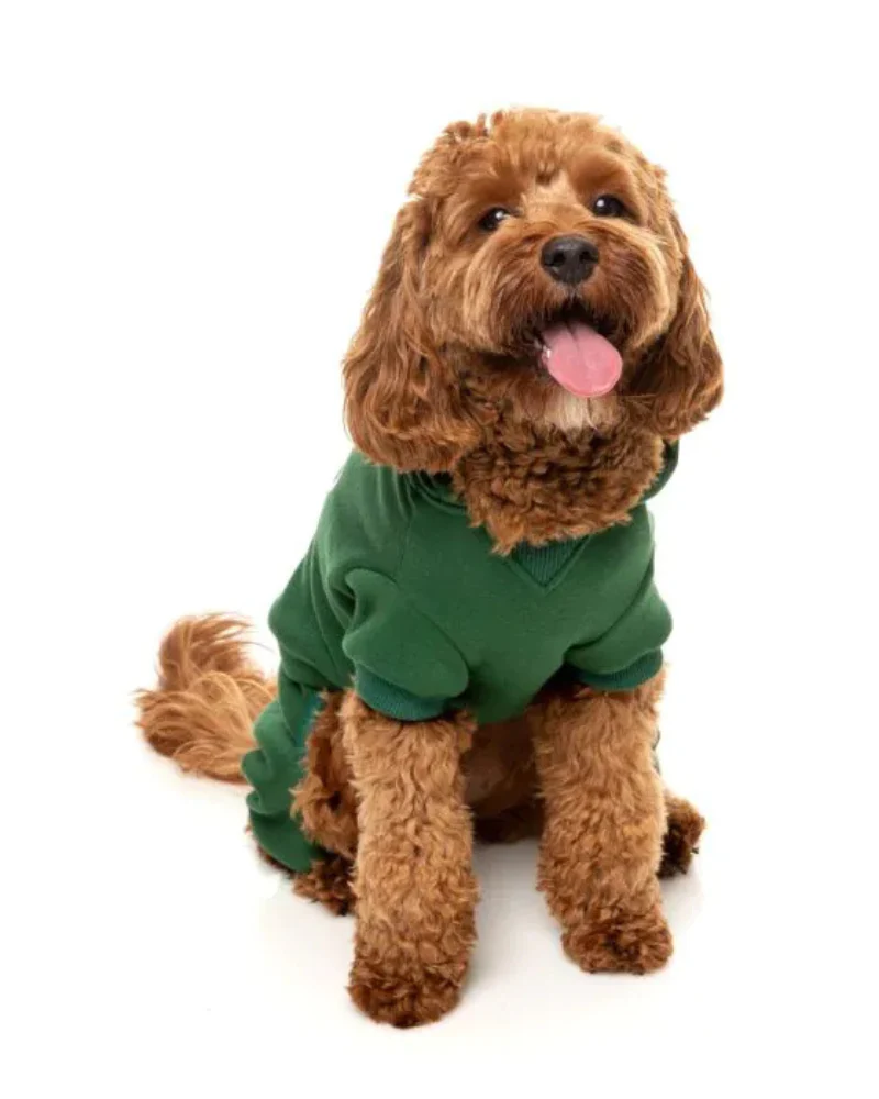Urban Dog Tracksuit in Green (FINAL SALE) - Image 3
