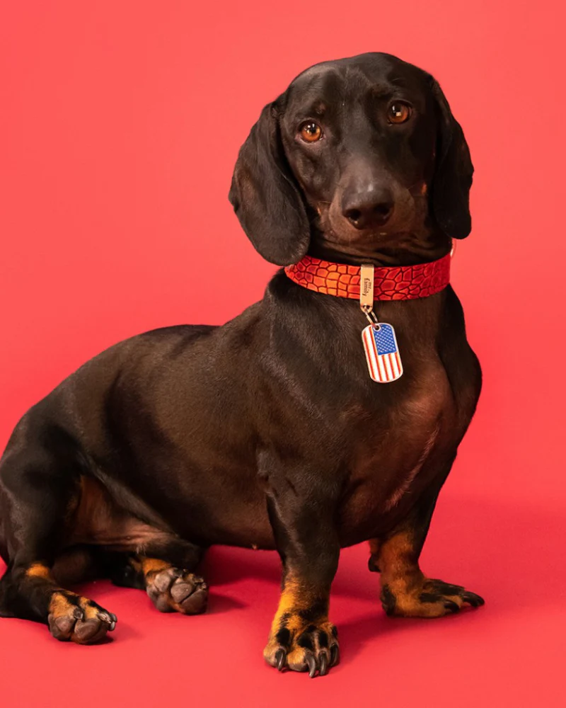 USA Flag Pet ID Tag