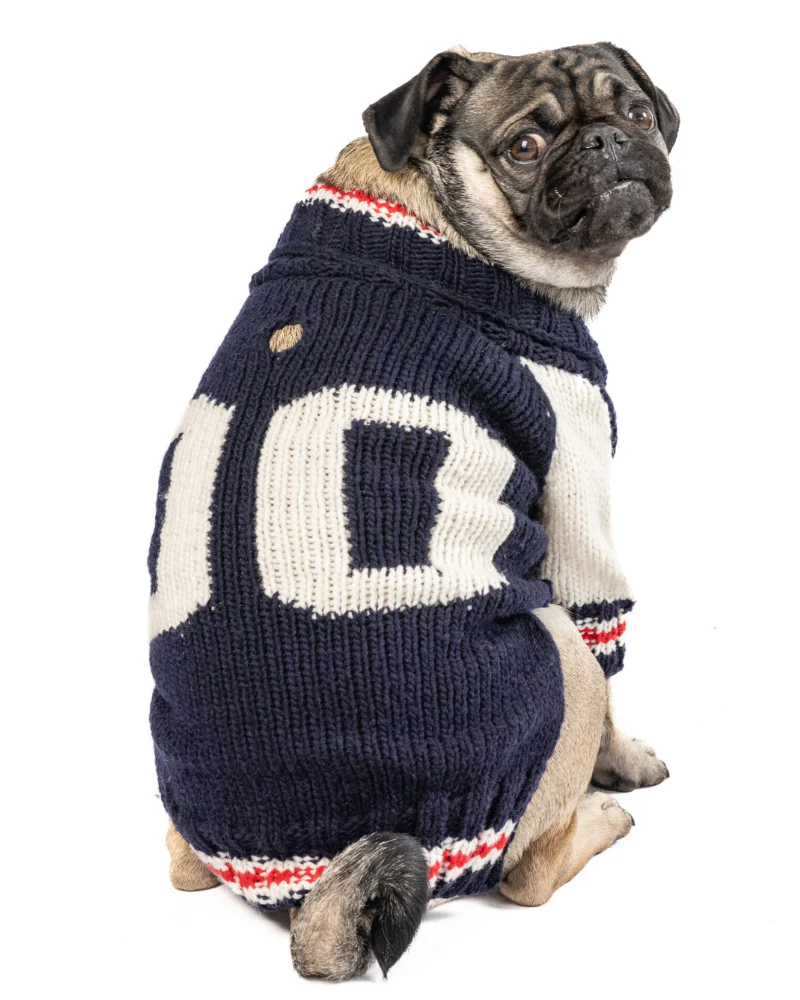 Varsity Wool Dog Sweater (FINAL SALE) - Image 8