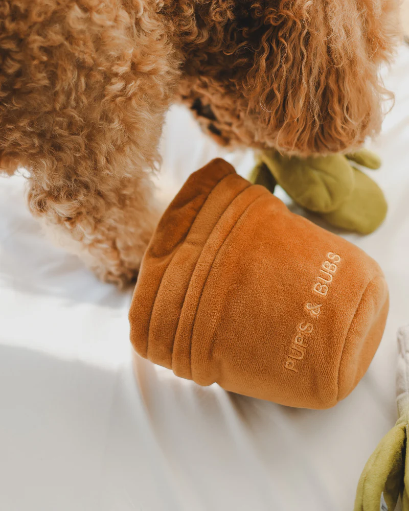 Veggy Garden Nosework Dog Toy (FINAL SALE) - Image 6