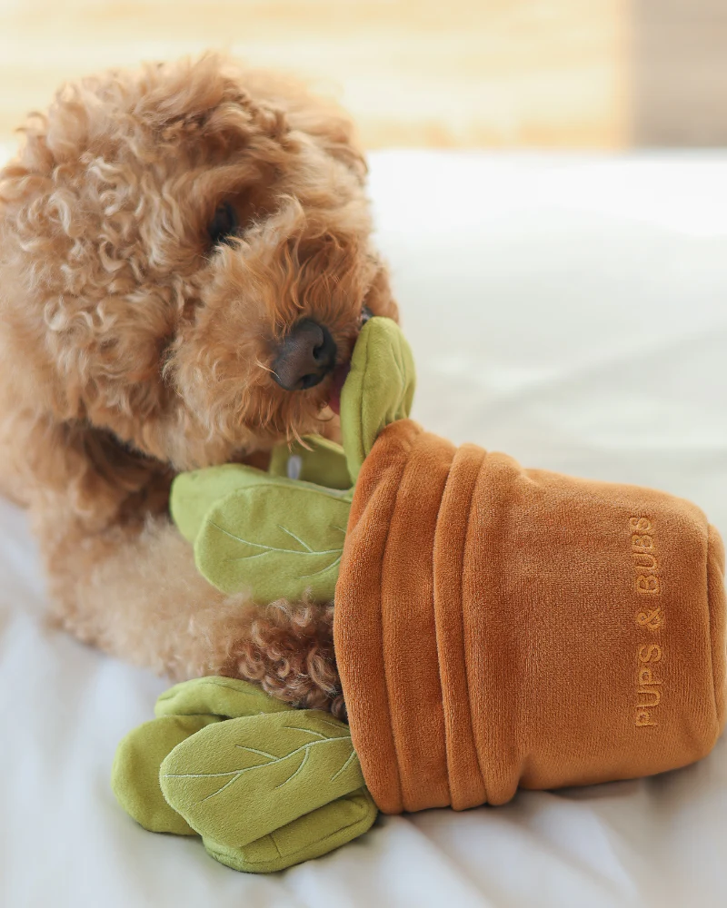 Veggy Garden Nosework Dog Toy (FINAL SALE) - Image 8