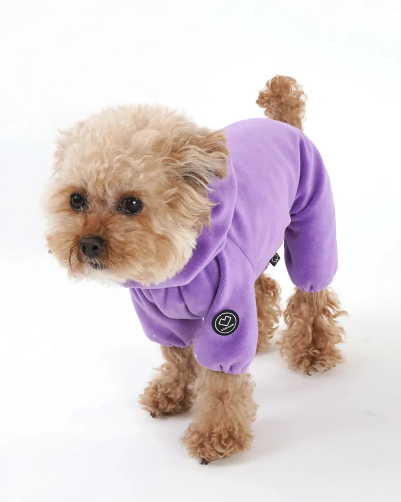 Velour Coverall Onesie for Dogs - Dachshund Fit (in Purple, Ivory, or Black) - Image 9