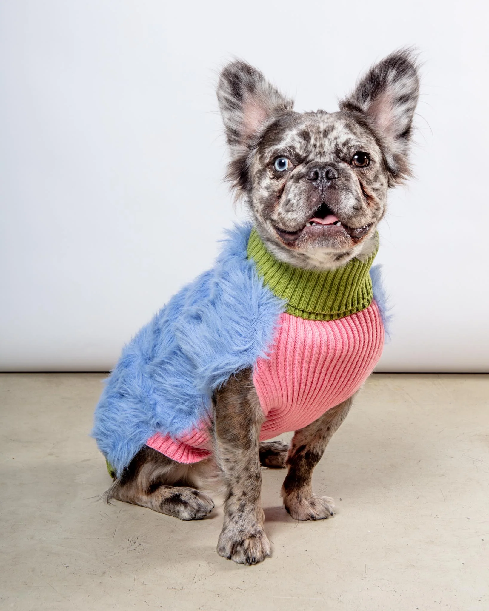 Faux Fur Dog Sweater (FINAL SALE)