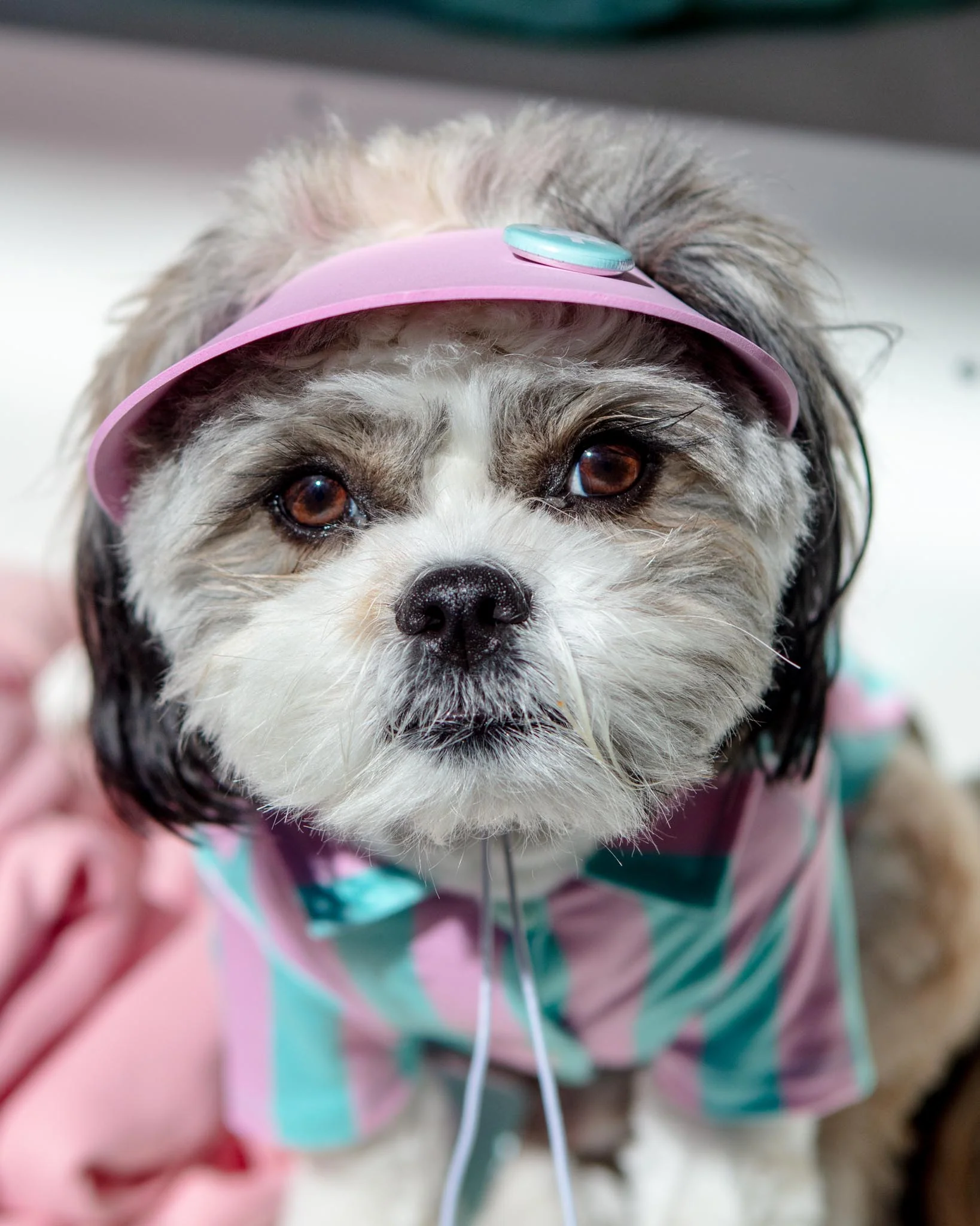 Visor Pet Hat in Pink (Made in the USA)