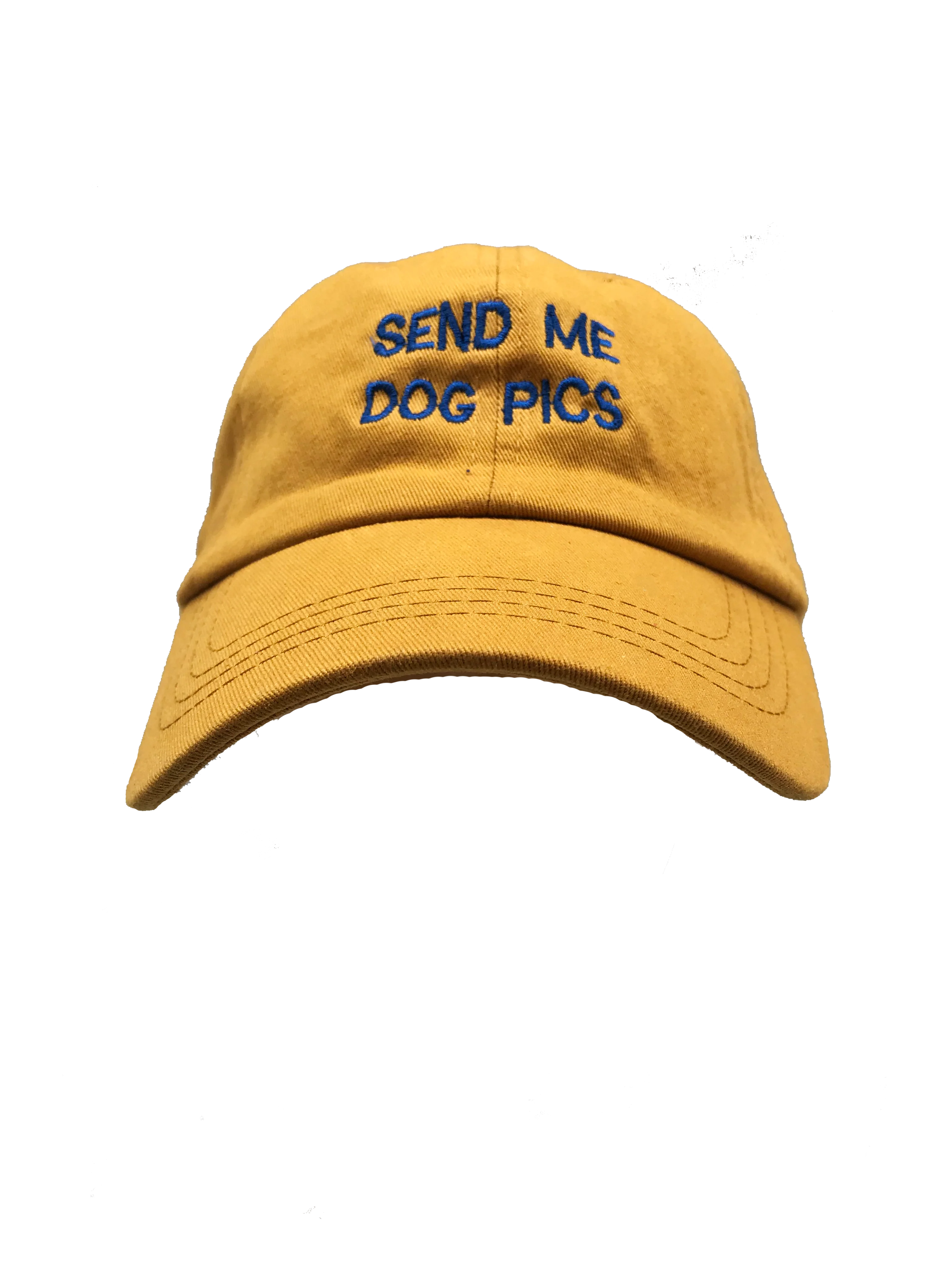WAG CITY | Dog Pics Hat