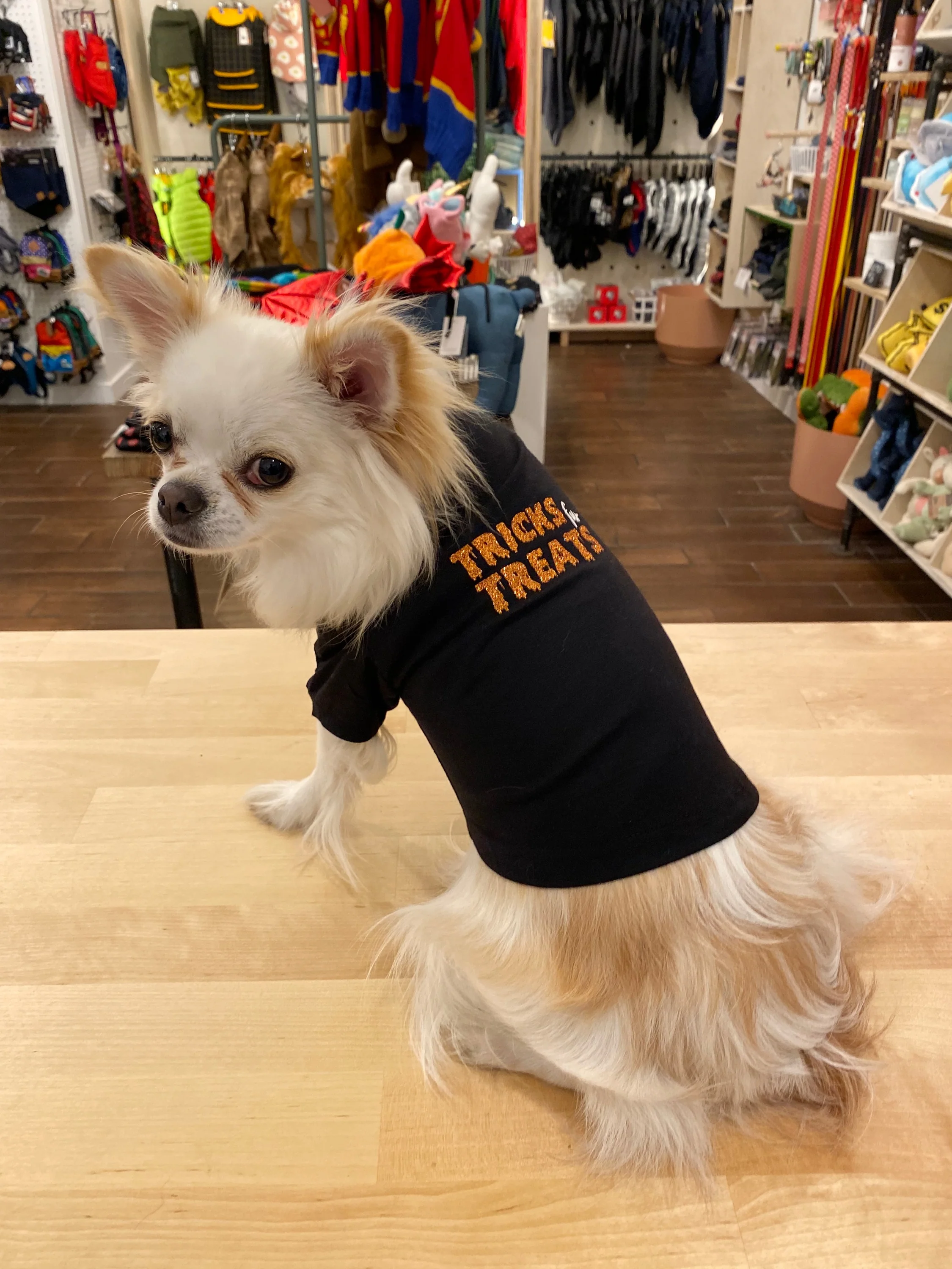 WAG CITY | Tricks Fur Treats Tee - Image 2