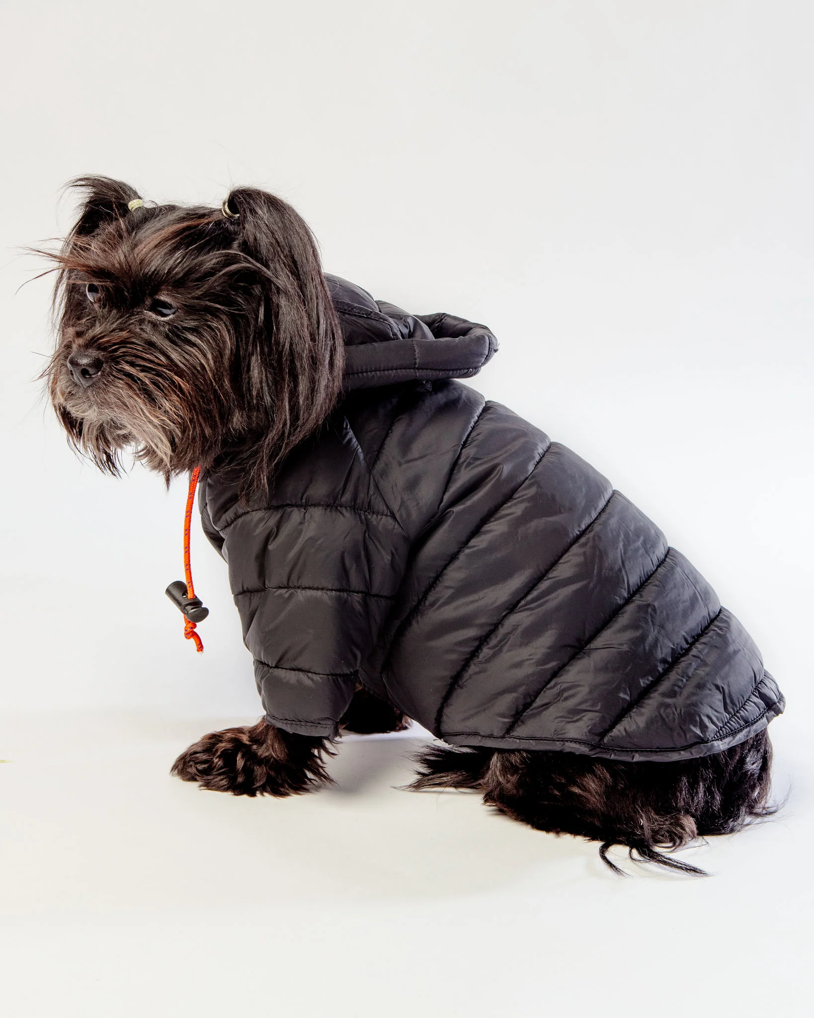 Dog Puffer Jacket in Black << FINAL SALE >>