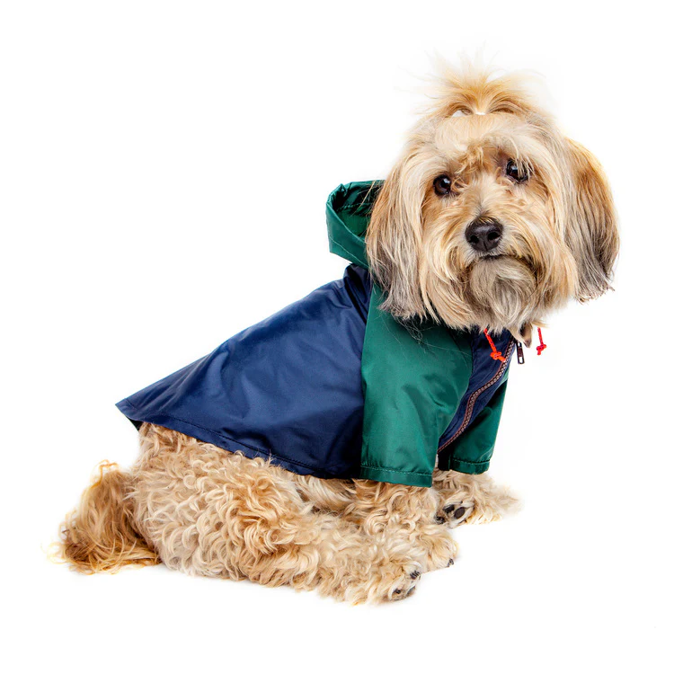 Nylon Colorblock Dog Rainbreaker in Hunter Green & Navy (Exclusive to DOG & CO.) - Image 7