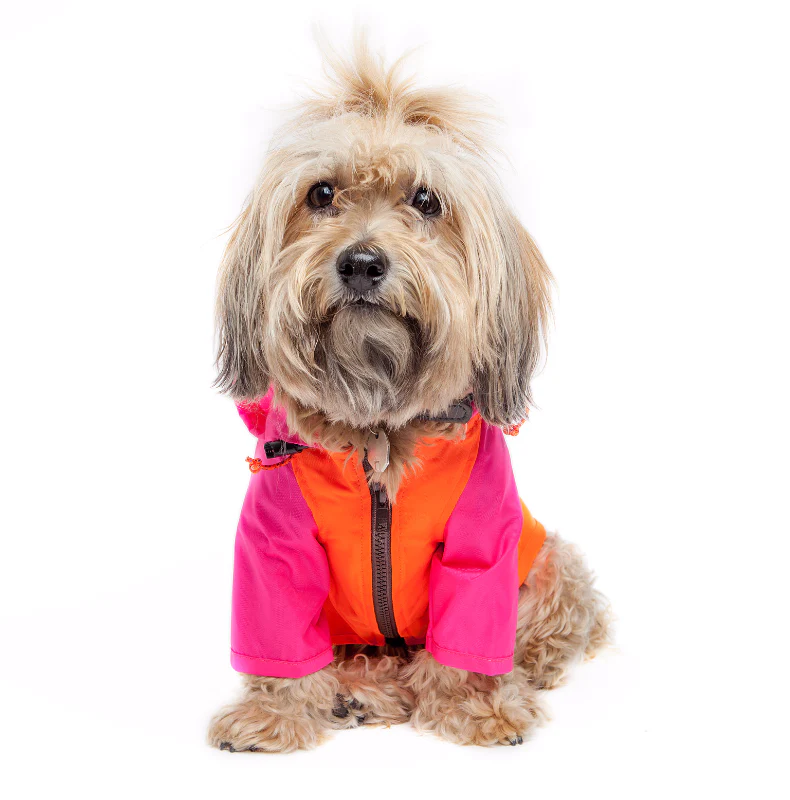 Nylon Colorblock Dog Rainbreaker in Neon Pink + Orange (Exclusive to DOG & CO.) - Image 5
