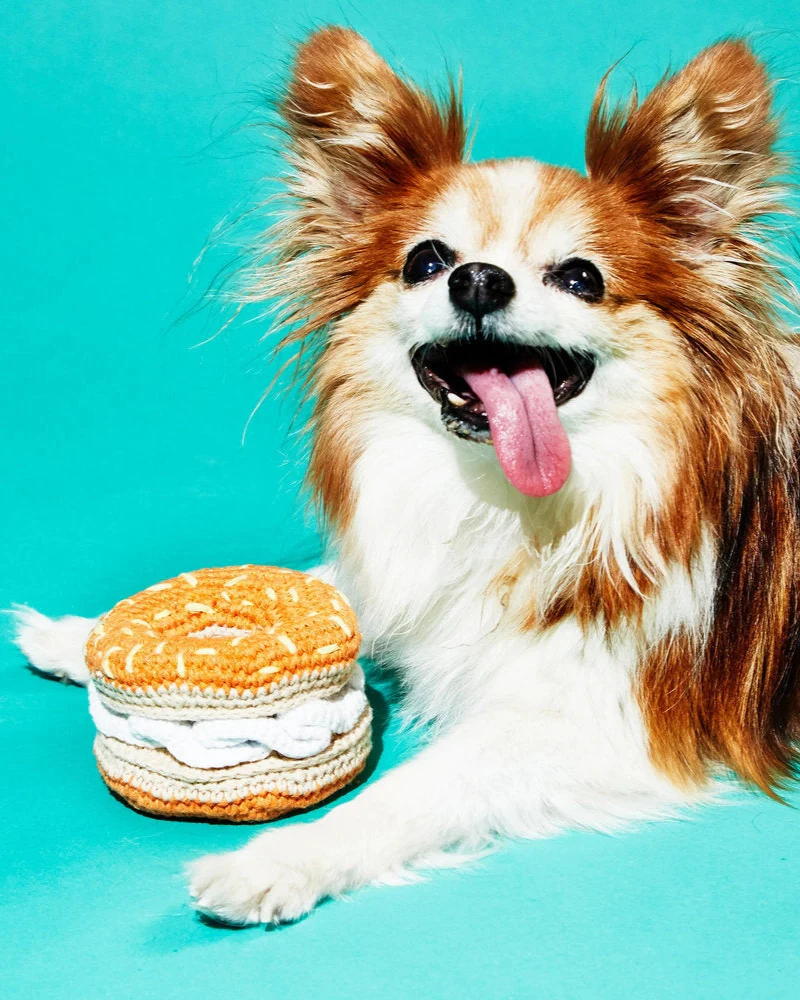 Hand Crochet Bagel & Cream Cheese Dog Toy - Image 2