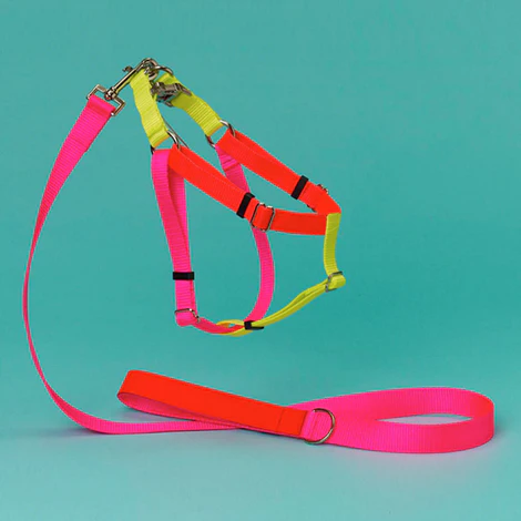 Nylon Colorblock Dog Harness in Neon Pink/Orange/Yellow (Made in the USA) - Image 2