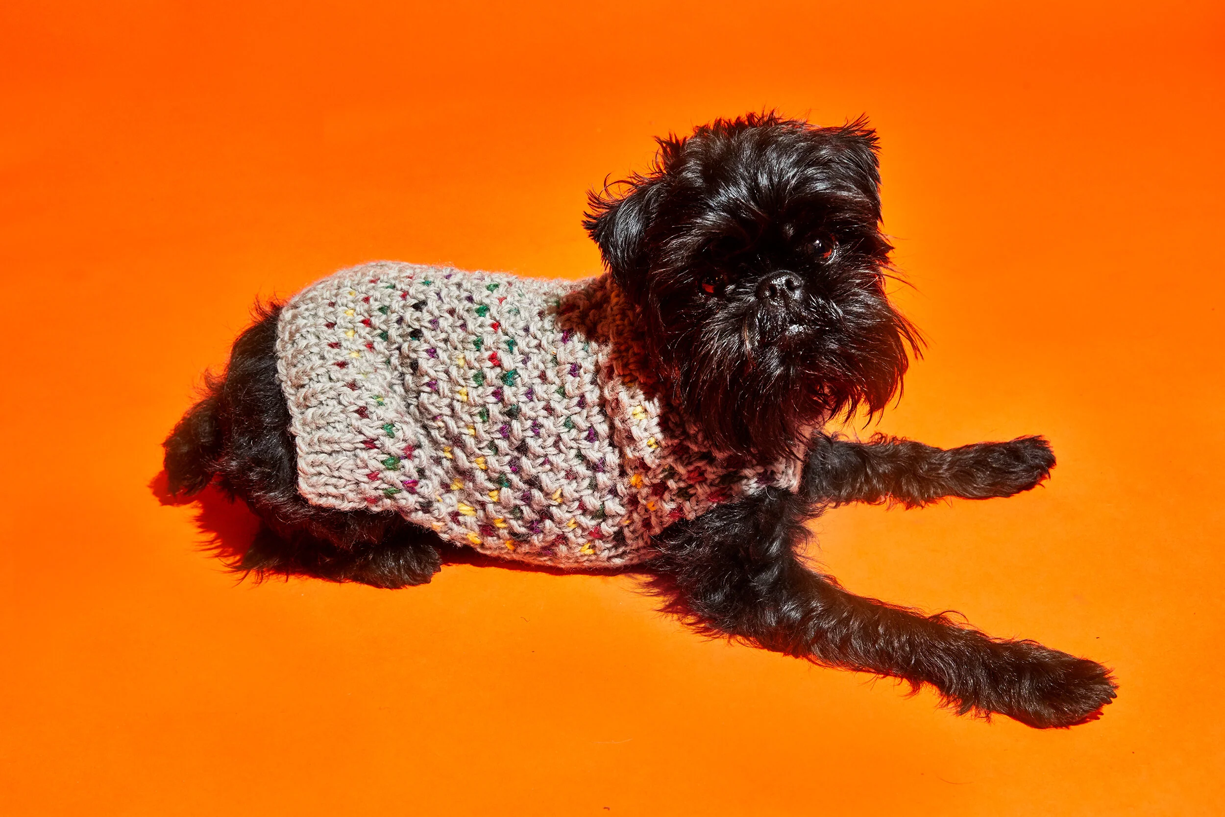 WARE OF THE DOG | Contrast Stitch Sweater - Image 2