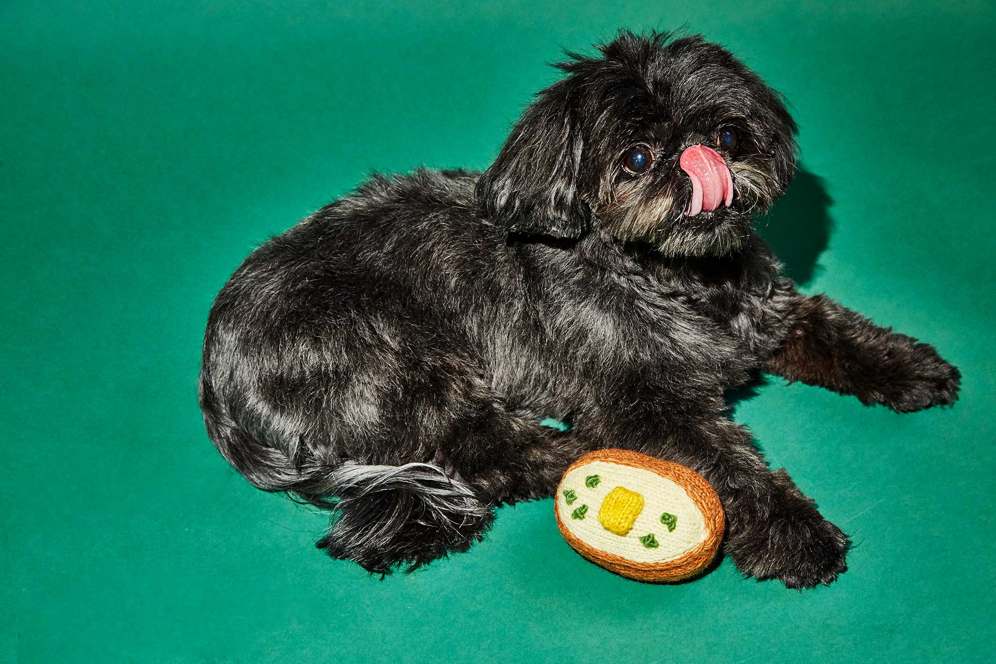 WARE of the DOG | Cotton Crochet Baked Potato Toy - Image 2