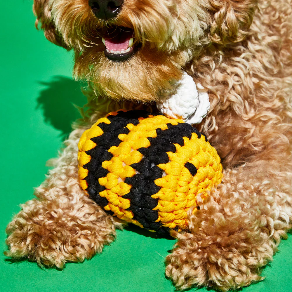 WARE of the DOG | Crochet Bumble Bee Toy - Image 3