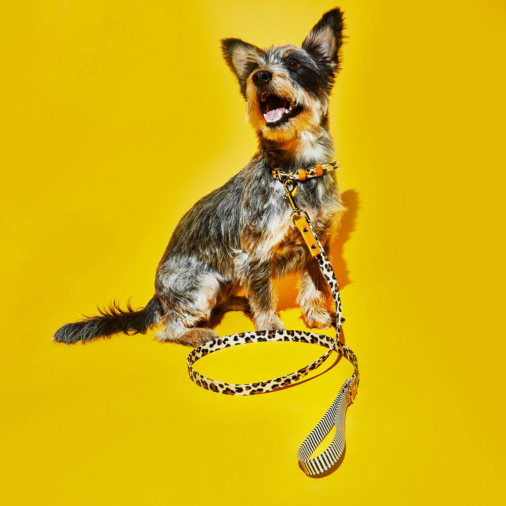 Leopard and Stripe Collar - Image 3