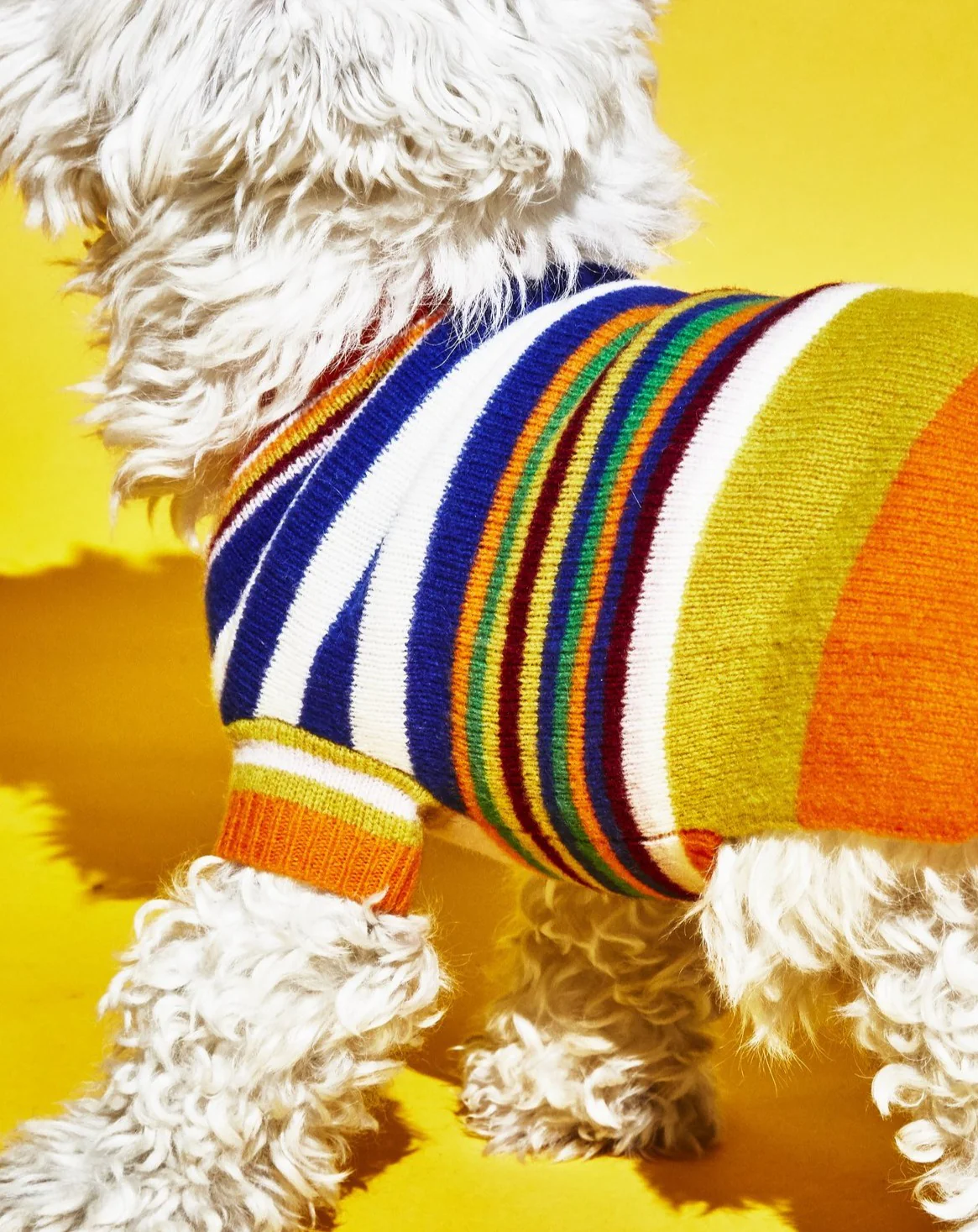 Multi-Striped Wool Dog Sweater << FINAL SALE >> - Image 3