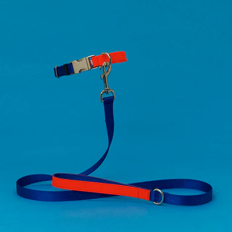 WARE of the DOG | Nylon Leash in Blue/Orange - Image 2